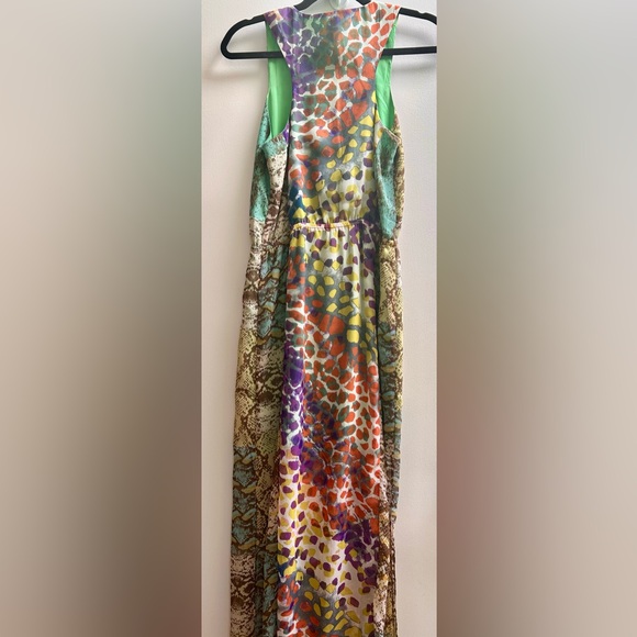 Retro W118 by Walter Baker Vibrant Print Neon Maxi Dress - Picture 5 of 8